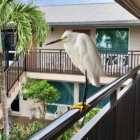 Caribbean Beach Club Fort Myers Beach Ngoại thất bức ảnh
